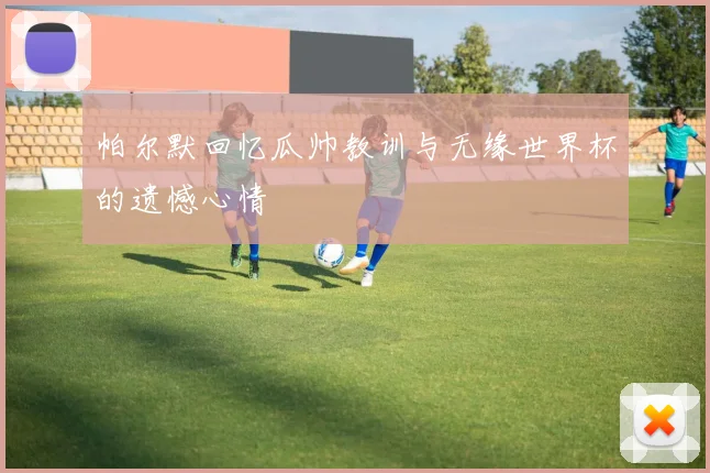 帕尔默回忆瓜帅教训与无缘世界杯的遗憾心情