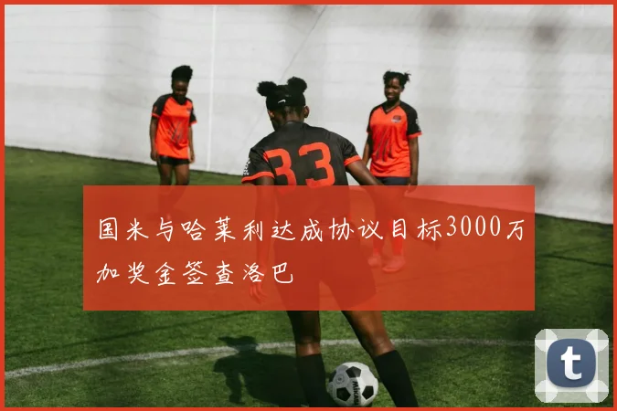 国米与哈莱利达成协议目标3000万加奖金签查洛巴