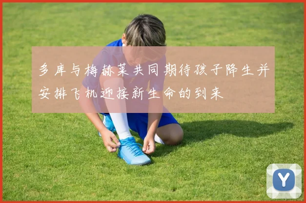 多库与梅赫莱共同期待孩子降生并安排飞机迎接新生命的到来